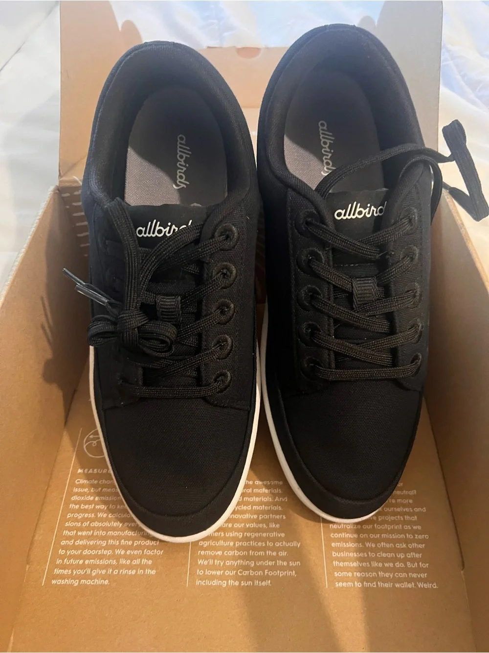 allbirds sleek low